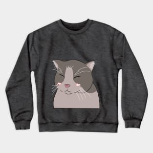 Smiling cat filter Crewneck Sweatshirt